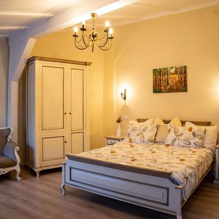 Oldtownvilla Studio Central Sibiu Bagian luar foto